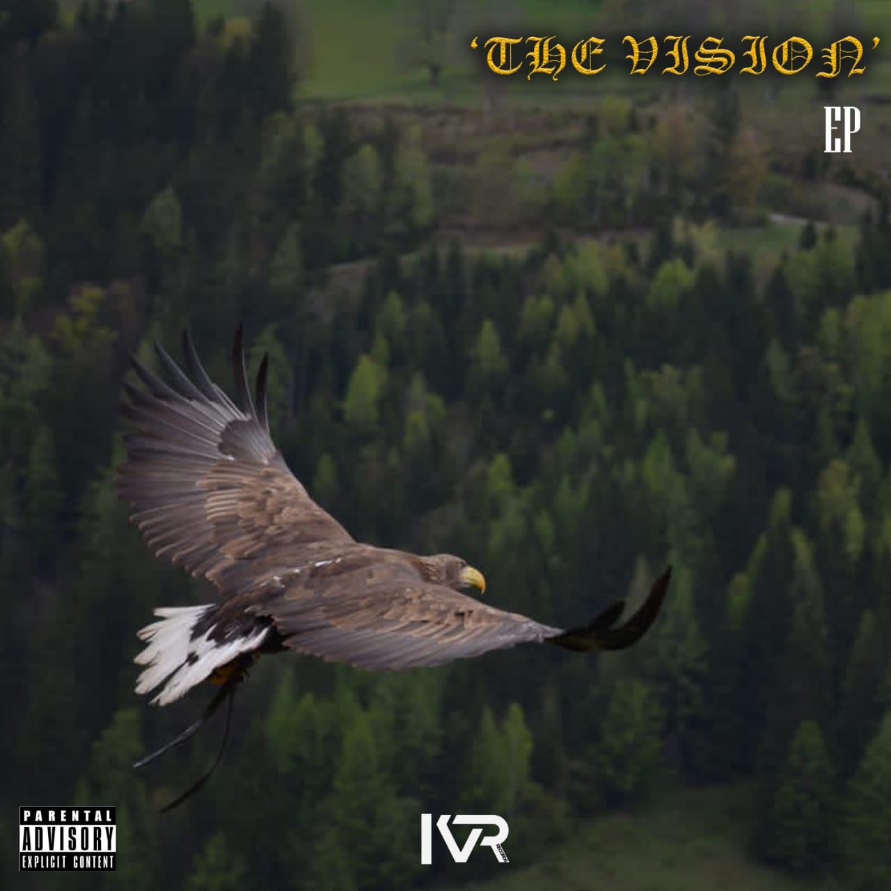 The Vission